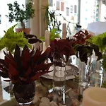 Mar Del Plata (adults Only) Bed & Breakfast 2*