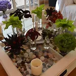 Bed & Breakfast Mar Del Plata (adults Only) 2*