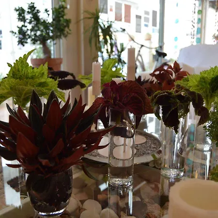 Mar Del Plata (adults Only) فندق مبيت وإفطار 2*