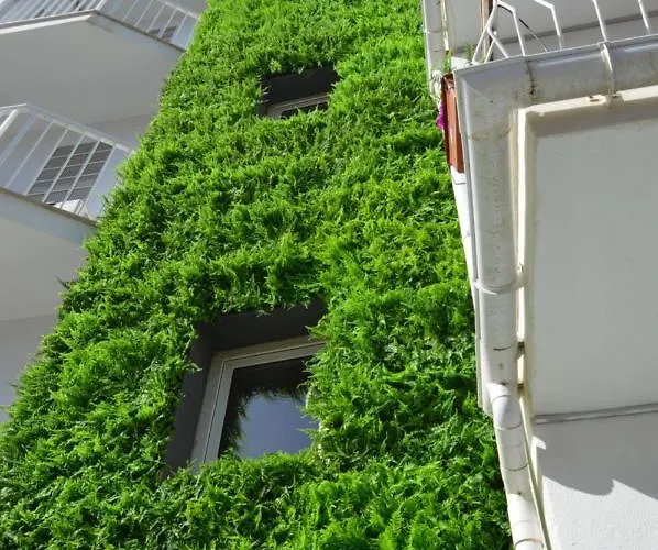 银海旅馆 2* 埃尔阿雷纳尔