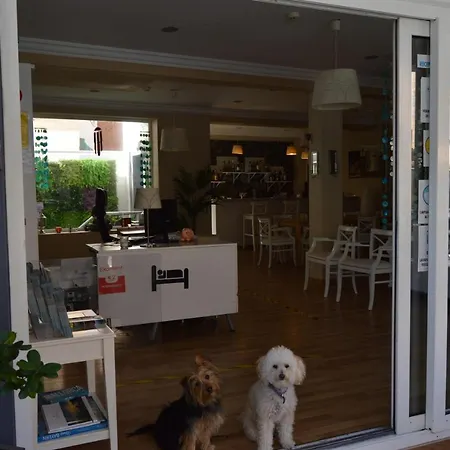 Casa de hóspedes Mar Del Plata (adults Only)