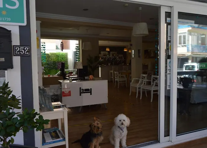 Bed & Breakfast Mar Del Plata (adults Only)