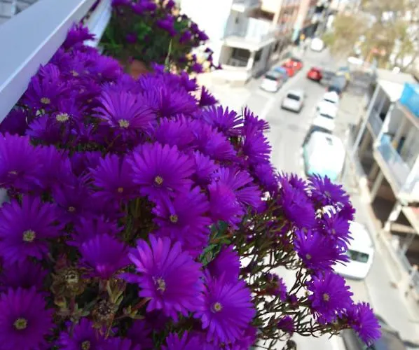 Mar Del Plata (adults Only) Bed & Breakfast El Arenal (Mallorca)